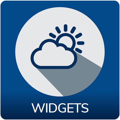Лицензия Spinetix SX-SE-DSOS-WIDGETS