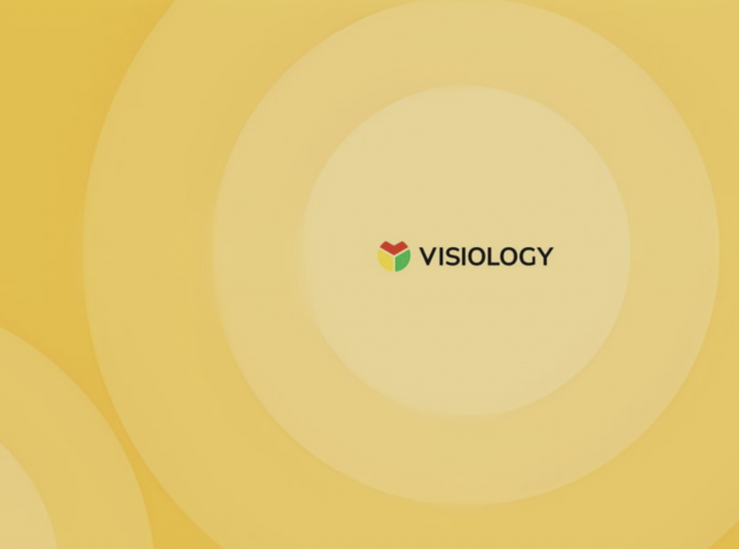 Visiology: отличные итоги 2025 года и планы на 2026