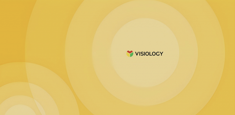 Visiology: отличные итоги 2025 года и планы на 2026